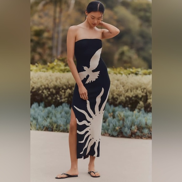 Anthropologie Dresses & Skirts - NWT! Anthropologie The Mesa Strapless Column Midi Dress by Celandine - 🪞